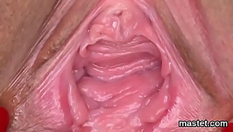 Vagina Berbulu Diregangkan Hingga Ke Tahap Yang Melampau Dalam Video Porno Yang Lucu Ini