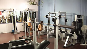 Gym-Babes ...